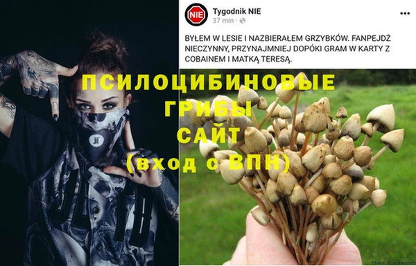 молекула духа Балабаново