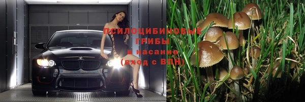 молекула духа Балабаново