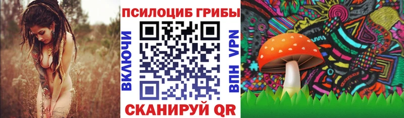 kraken tor  Зерноград  Галлюциногенные грибы Cubensis  где найти наркотики 